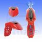 Preview: Schutzblech vorne universal rot SM LINE