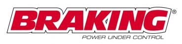 Bremsscheibe hinten BRAKING HO33RI Honda ST Pan European, GL F6C Valkyrie, GLX