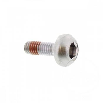 Schraube für vordere Bremsscheibe, M6X17mm, 1 Stück