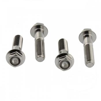 Bremssattelschraube Satz vorne V4A
