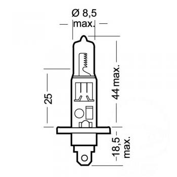 Lampe, Glühbirne H1 12V55W