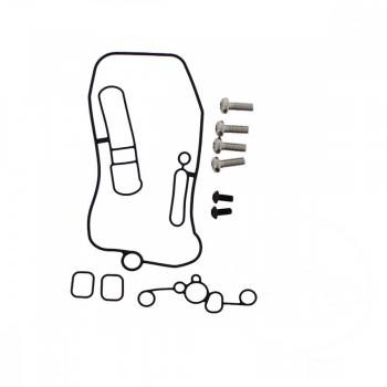 Vergaser Dichtungssatz, O-Ringe