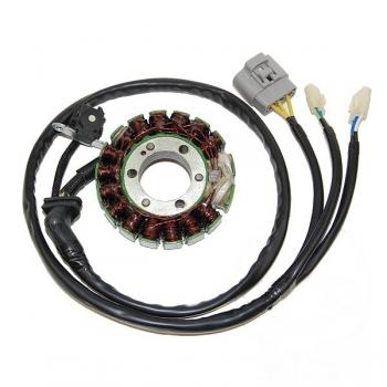 Lichtmaschine Stator