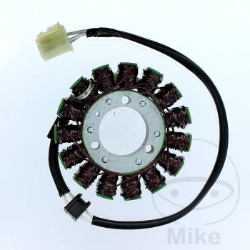 Lichtmaschine Stator