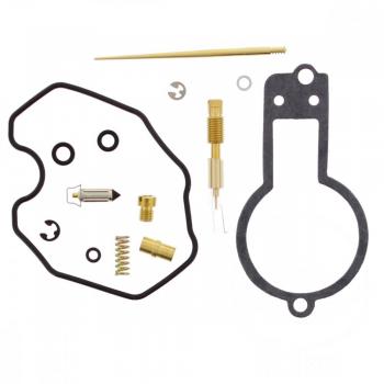 Vergaser Reparatursatz