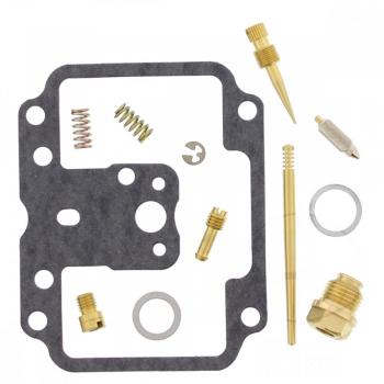 Vergaser Reparatursatz