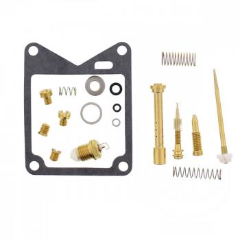 Vergaser Reparatursatz