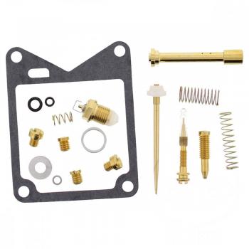 Vergaser Reparatursatz