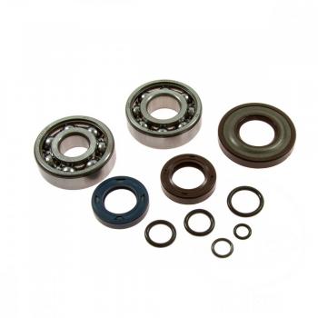 Kurbelwellenlager Satz Viton