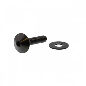 Linsenschraube M6x1.00 30mm Edelstahl A4 schwarz