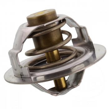 Thermostat Tourmax