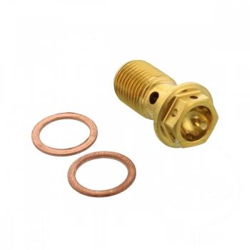 Hohlschraube einfach M10 x 1.00 Edelstahl V4A Racing gold Pro Bolt