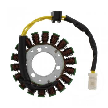 Lichtmaschine Stator
