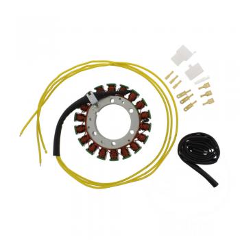 Lichtmaschine Stator