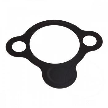 Dichtung Steuerkettenspanner Originalersatzteil