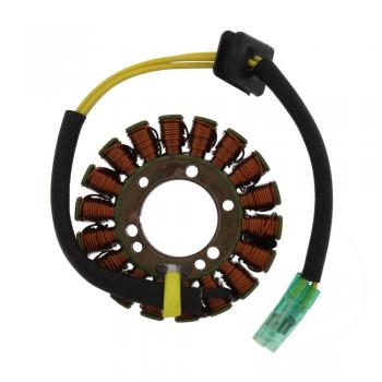 Lichtmaschine Stator