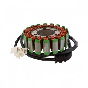 Lichtmaschine Stator