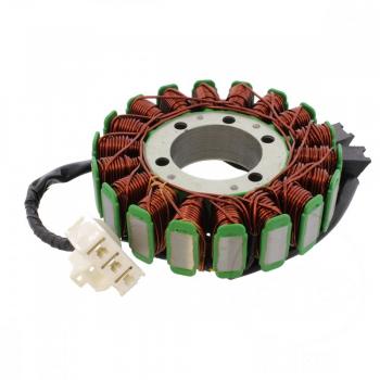 Lichtmaschine Stator