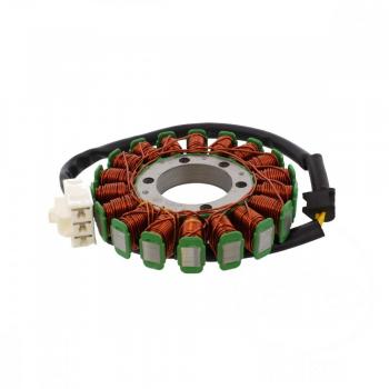 Lichtmaschine Stator