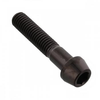 Schraube KLEMM Gabel Pro Bolt Edelstahl V4A schwarz