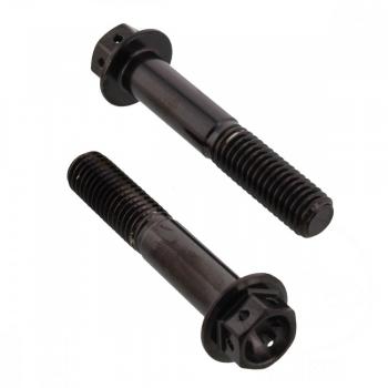 Schraube KLEMM Gabel Satz Pro Bolt Edelstahl V4A schwarz Racing