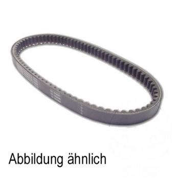 Antriebsriemen, Vario-Riemen 27,2 X 1252 DAYCO