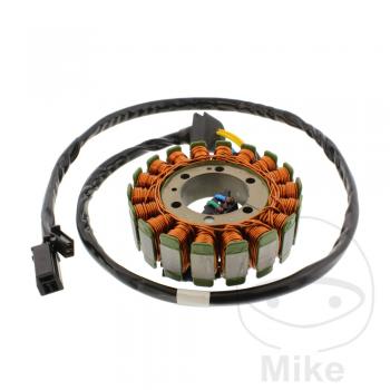 Lichtmaschine Stator