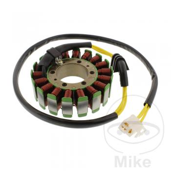 Lichtmaschine Stator