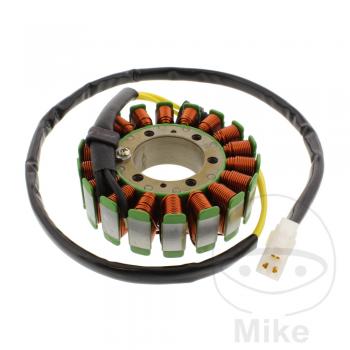 Lichtmaschine Stator