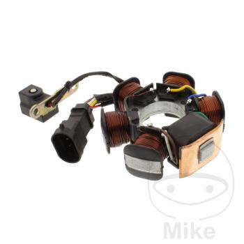 Lichtmaschine Stator