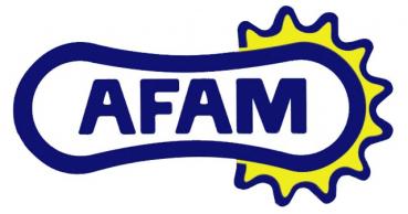 AFAM Kette F Teilung-415, Länge 80