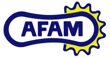AFAM Motorrad Kette XRR Teilung-530, Länge 134