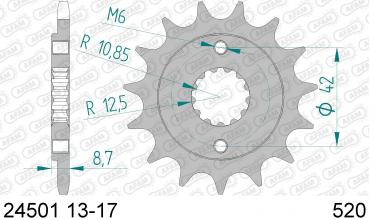 AFAM Kettensatz, KAWASAKI BJ 250 F1, mit A520XLR2 Kette