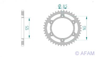 AFAM Kettensatz, CAGIVA 125 W8, mit A520XLR2 Kette