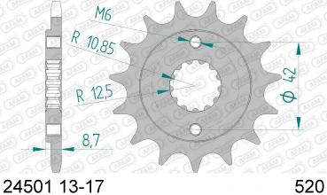 DID Kettensatz KAWASAKI ZXR 400 R, mit DID 520VX2 Kette