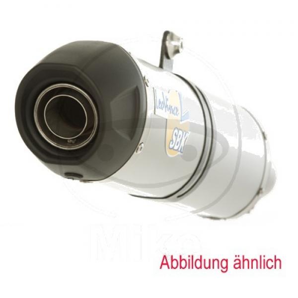 LeoVince ONE Slip On Evo2 Edelstahl