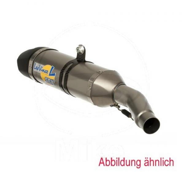 LeoVince ONE Slip On Evo2 Edelstahl