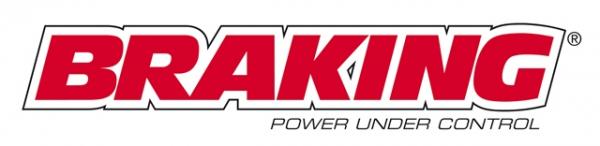 Bremsscheibe hinten BRAKING HO33RI Honda ST Pan European, GL F6C Valkyrie, GLX