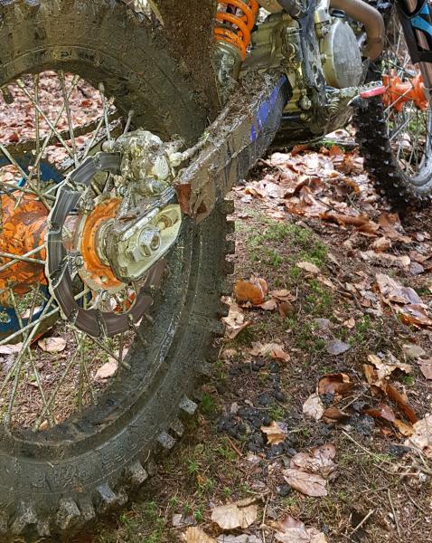 BRAKING Batfly Bremsscheibe hinten Kawasaki KX F 450