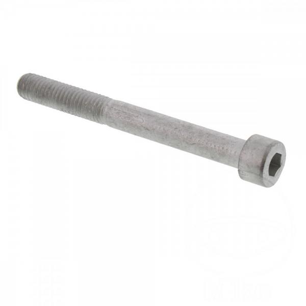 Schraube für vordere Bremsscheibe, M8X75mm, 1 Stück