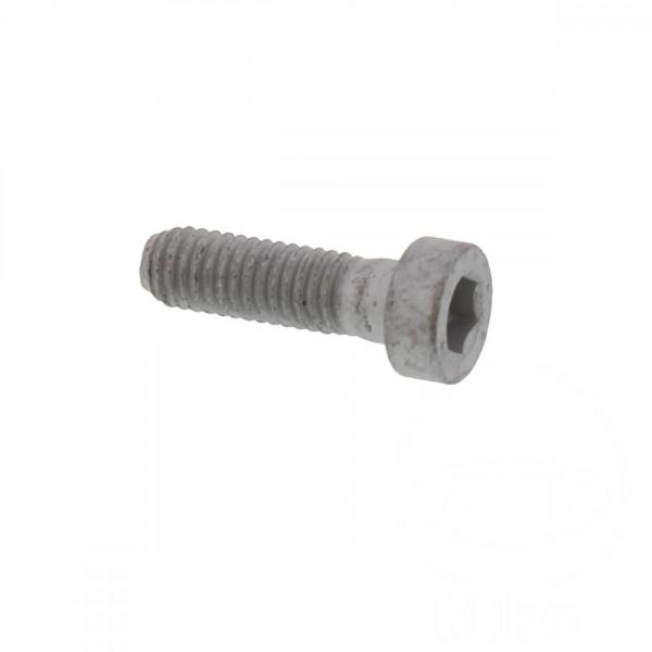 Schraube für hintere Bremsscheibe, M6X20mm, 1 Stück