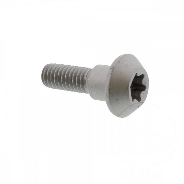 Schraube für vordere Bremsscheibe, M6X20mm, 1 Stück