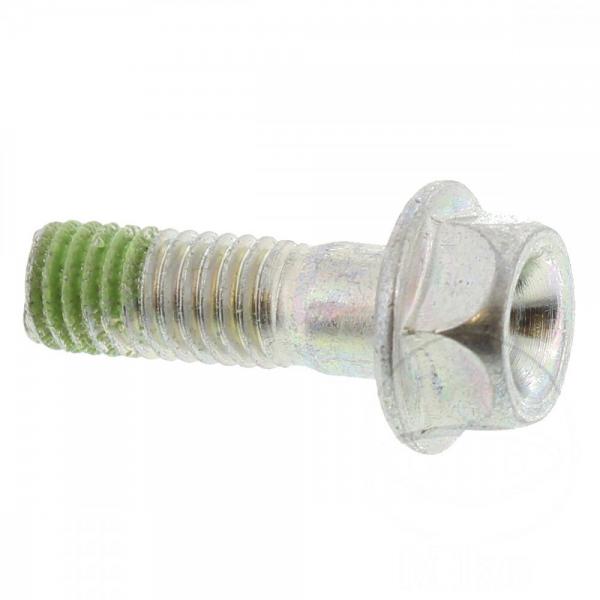 Schraube für hintere Bremsscheibe, M8X25mm, 1 Stück
