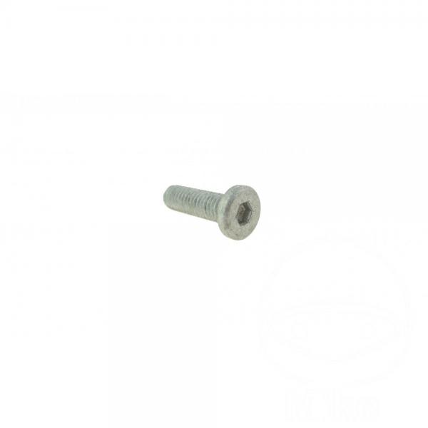 Schraube für vordere Bremsscheibe, M6X20mm, 1 Stück