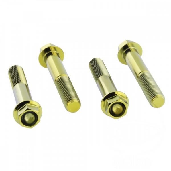 Bremssattelschraube Satz vorne Titan gold