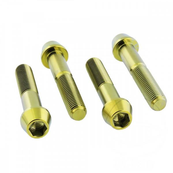 Bremssattelschraube Satz vorne Titan gold