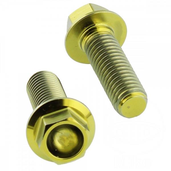 Bremssattelschraube Satz vorne Titan gold