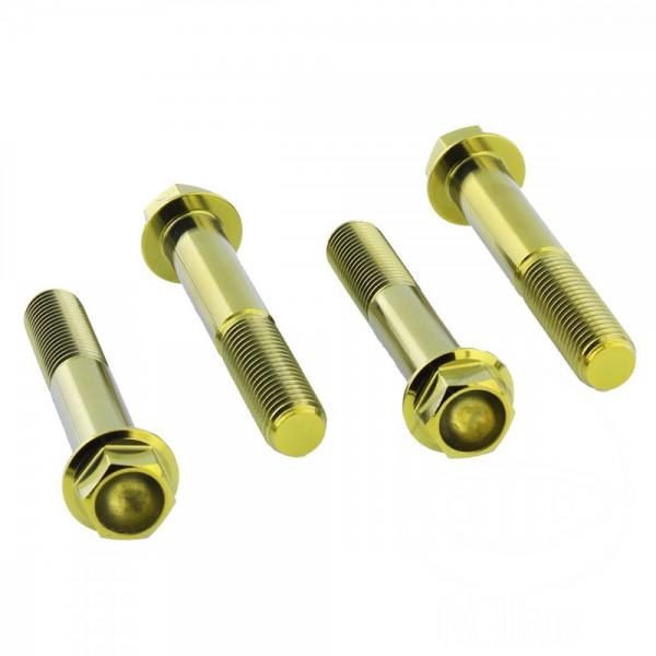 Bremssattelschraube Satz vorne Titan gold