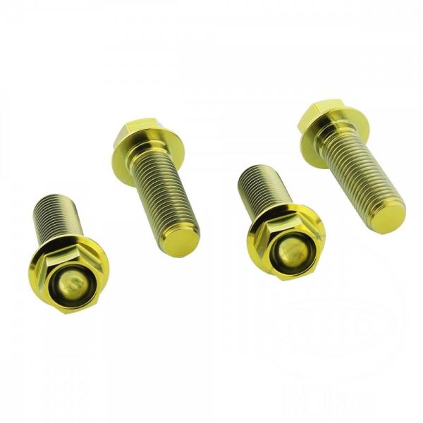 Bremssattelschraube Satz vorne Titan gold
