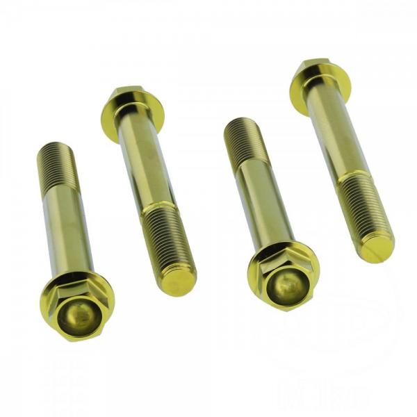 Bremssattelschraube Satz vorne Titan gold